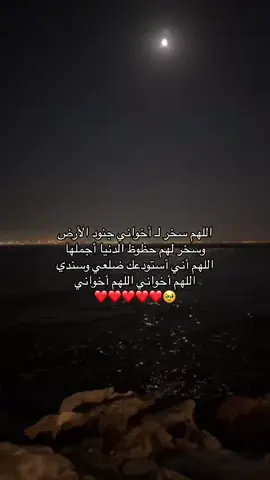 #اكسبلورررررررررررررررررررر #foryoupageofficiall #explorepage✨ #أكسبلوررررررررررر #أكسبلورررر #fypシ゚vira #اكسبلورexplore #explorepage #fypシ゚ #اكسبلوررررررر #اكسبلوررر 