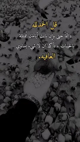 الحمدلله #🥹🤍 #همس_الوفــَّــــآء #إكسبلوررررررر_explor #أعادة_نشر🔃 