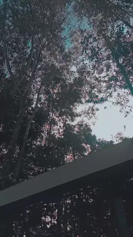 অরত তাকলি###@টিকটক বাংলাদেশ ৫৫৫ @টিকটক 94 