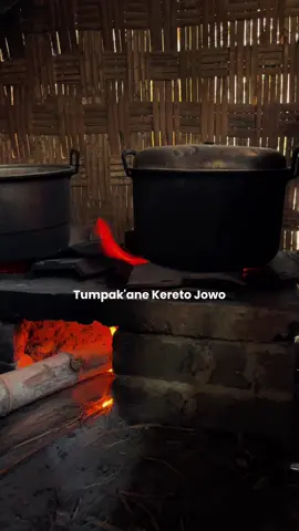 Ingat masa kecil dan pengorbanan orang tua #CapCut #elingelingsiromenungso #lirik #koplo #gomusikindo #virall #fyp #trending 