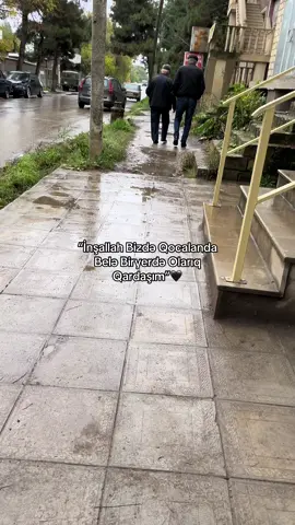 @Javidann🌿 🖤))