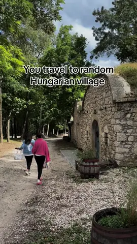 Any ideas where it is? #hiddengem #hungary #hungarytiktok #hungarian #magyartiktok #csoda #csodasmagyarorszag #budapest 