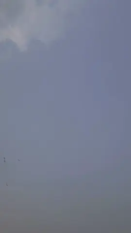 #foryoupage #foryourpage #foryoupage #bdtiktokofficial🇧🇩 #bdtiktokoff #foryourpage #bdtiktokoff #foryourpage @TikTok Bangladesh #bdtiktokoff #foryourpage #bdtiktokoff #bdtiktokoff #fypシ゚viral #foryoupage #foryourpage #fypシ゚viral 