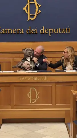 La voce di mino nel nostro libro e al parlamento ❤️🙏