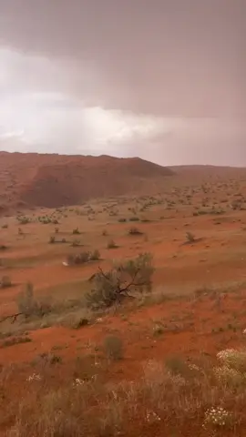 قال انتظر والهجر لو طال موقوت#شيلات #شيلات_روعه_خواطر_ذوق #اكسبلور_فولو #اليكات #حركة_إكسبلور #شيله #اكسبلورexplore 