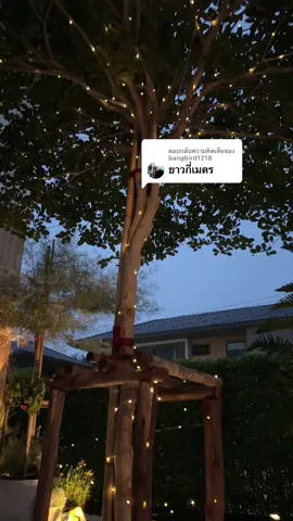 ตอบกลับ @bangbird1218 ไฟสวยมาก ในคลิปใช้ความยาว 32 เมตรแสงอุ่นค่ะ☺️ #ไฟหิ่งห้อยโซล่าเซลล์ #ไฟหิ่งห้อย #ไฟแต่งสวนโซล่าเซลล์ #ไฟประดับสวน #ไฟโซล่าเซลล์ 