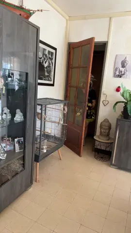#pompomguerls 🤣🤣🤣🤣