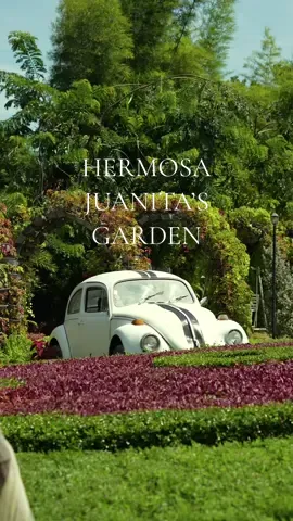 hidden gem of Hermosa Juanita garden cafe #camiling #Tarlac #cafe #cafehopping #fyp #CozyVibes #garden #gardencafe #provincelife #cafelife 