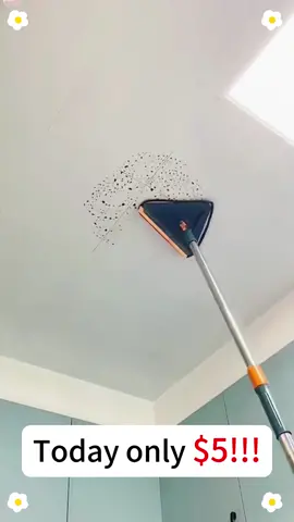 You aren't deep cleaning your house properly if you don't clean your walls! #fyp #CleanTok #cleaning #dust #walls #homecleaning #deepclean #cleaningtools #TikTokShop #creatorsearchinsights