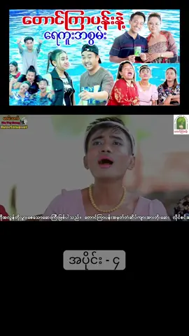 #တောင်ကြာပန်းနဲ့ရေကူးအစွမ်း 