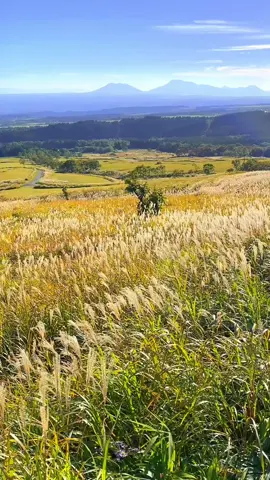 久住高原展望台 📲2020/10/25 #japan