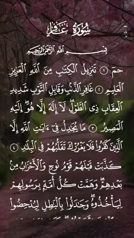 سورة غافر مكتوبة كاملة بصوت خاشع ومؤثر #سعد_الغامدي #القرآن_الكريم_ترند #نفع_الله_بكم_الاسلام #خاشع_ومؤثر #المؤمنون_بالله_وحده #حافظواعلى_الصلاة #لاتكفروا_بالله #صلوا_على_خير_البشر_تغنموا 