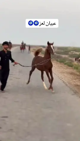 #اللهم_صل_وسلم_على_نبينا_محمد #عبيان🔥🧿 🧿🧿🧿