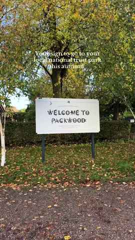 and go hug a tree whilst your there  @National Trust  #autumn #fall #autumnwalks #nature #halloween 