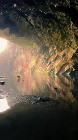 Rydal Cave…😍 #lakedistrict #lake #WeekendVibes #fyp  #h#hikingadventurese#explorel#landscapephotographya#autumnh#hikerlifev#viewh#hikingadventuresk#keepgoingn#natures#snapshoto#outdoorsg#getoutsides#sceneryw#walks#solohikes#summits#smileh#happymindset