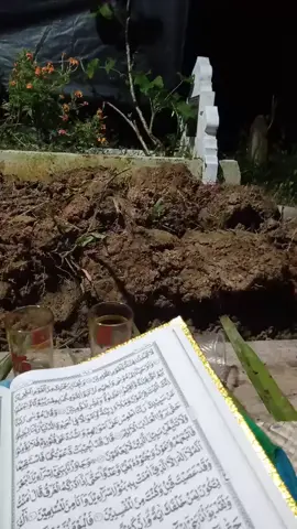 #ngajidikuburan 