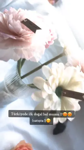 inst: teddy_candle777👇🏻💜 🤭🕯 parafin: rainbow.hobby👇🏻💜 bize instagram üzerinden ulaşabilirsiniz , sipariş alınır görduğunuz 3 çeşit mum satışta ❕️                                        #teddy_candle777 #teddy #candle #flowers #fyp #777 #foryou #challenge #trend #music #tiktok #viral #SmallBusiness 