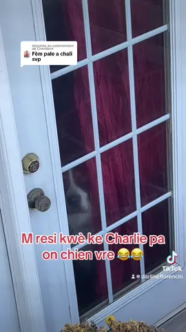 Réponse à @Cherident  map fel komanse peye bill😂 #charlielastar🐾 