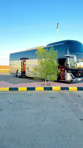 #ظہیر #ڈرائیور_گروپ_مکہ_مدینہ #bus_driver_makkah_madina #100kflowers_bus_driver_ksa 
