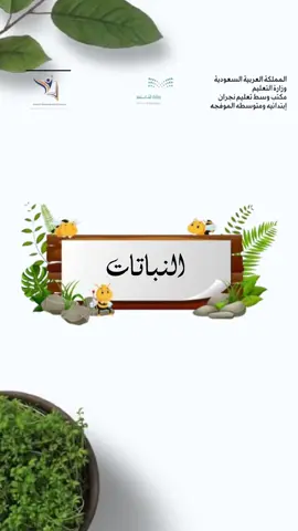 مشروع عن النباتات للتواصل واتس 👆🏻 #مشروع #اعمال_مدرسية #النباتات #العلوم #تصميم #تصميمي #دعوات_الكترونيه #اكسبلورexplore #foryou 