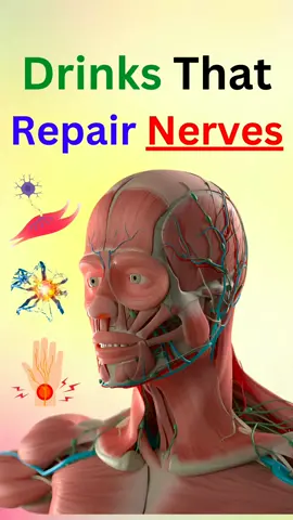 5 Drinks That Repair Nerves : Natural Remedies for Nerve Health #Nerves #RepairNerves #NerveHealth #NaturalRemedies #drinks #Turmeric #Curcumin #diabetic #neuropathy #Smoothies #vitaminB1 #vitaminB6 #nervecells #vitaminB12 #vitamins #Beetroot #BeetrootJuice #bloodflow #Blueberry #Blueberries #oxidativestress #GingerTea #Ginger 