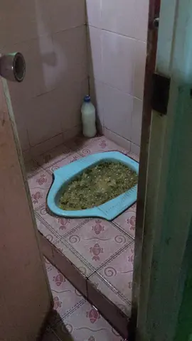wc mampet bolo pakai biotank solusi sepiteng penuh #sedotwc #penguraitinja #wcmampet #sepiteng