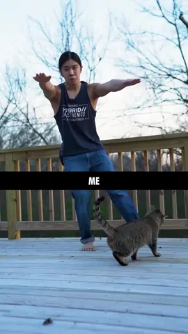 Mi Entrenamiento Actual I Fitness #motivacion #calistenia #Fitness #deporte