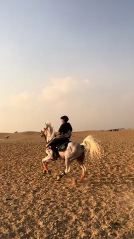 #نزله_السمان #نزله_السمان_الهرم👑💸👹 #خيل_وخياله🐎 #foryou 