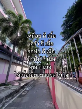 มีคนดูมั้ยนิ #tiktok #เธรดความรู้สึก #ไลฟ์โฟโต้ #เธรด 