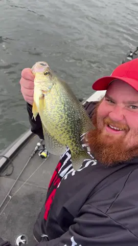 Fall Crappies! 