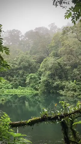 vibes telaga biru di kala #hujan #kabut #alam #xyzbca 