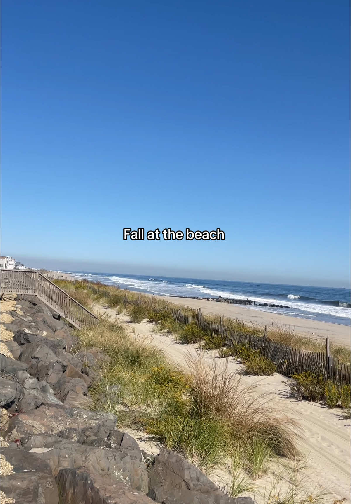 A sunny day can cure it all #beachlife #fallaesthetic #morningroutine 