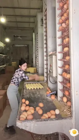 Do you like this kind of job? #fyp #asmr #satisfying #asmrvideo #asmrsounds #satisfaction #satisfyingvideo #egg #eggs 