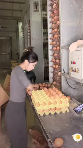 There are never-ending collections of eggs #fyp #asmr #egg #eggs #satisfying 