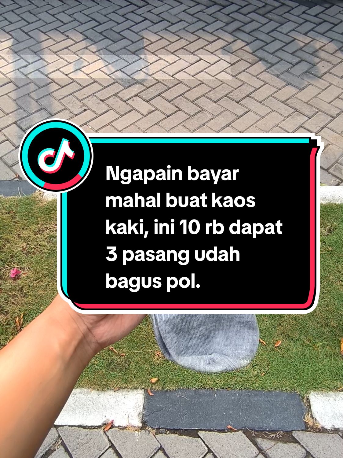 10rb dapat 3 pasang kaos kaki pria wanita #kaoskaki #kaoskakipriawanita #kaoskakipendek #fypシ゚viral #xyzbca 