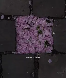 Respondendo a @julianiveladora apesar de ser mais curto, epero que você goste ❤️ | When You're Gone - Avril Lavigne || #avrillavigne #tradução #tipografia #lyrics #lyricsvideo #lyricstradução #fyp #trecho #traduçãodemusica 