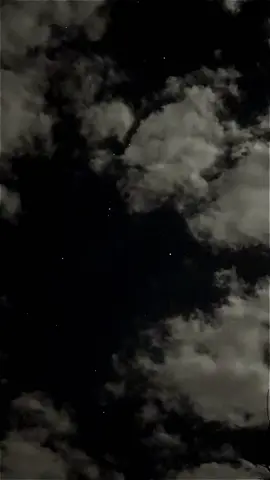 #نجوم #ليلي #تصوير #فيديو #اكسبلور 