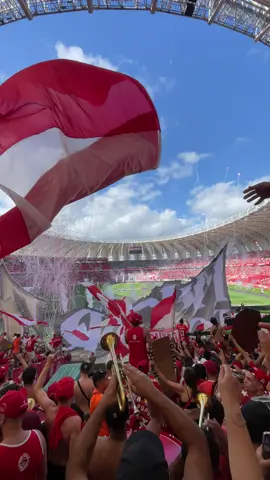 Aula de bancada, tudo normal no sul 🇦🇹🦍 #internacional #GRENAL #grenal #inter #classico #torcidaorganizada #futebolbrasileiro #barrabrava #classicos #guardapopular #