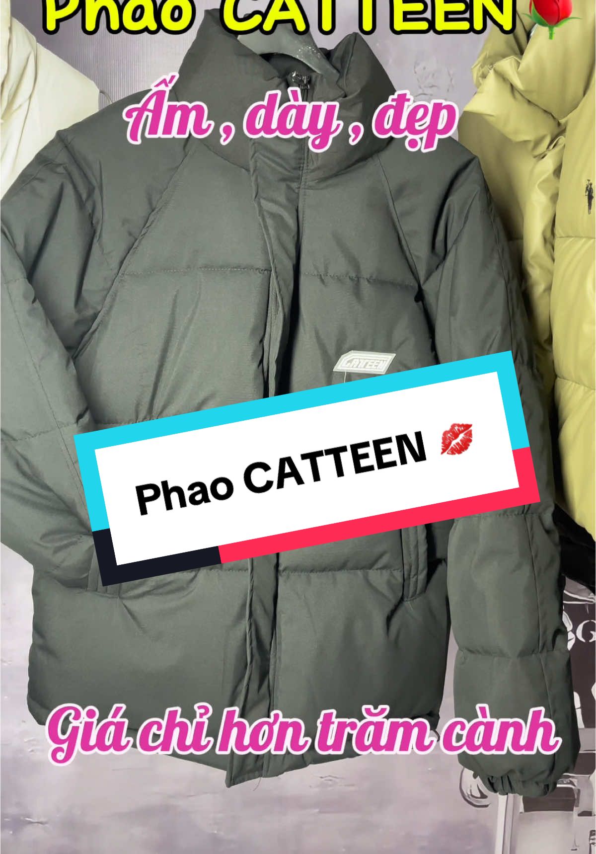 Phao CATTEEN hàng đẹp 139k#ao #aophao #aophaomaumoi #aophaologo #logo #catteen #phaocatteen #aounisexnamnu 
