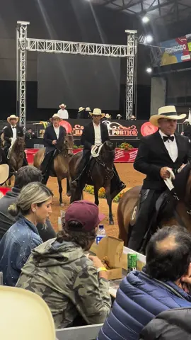 Ilusion del ocaso del uberrimo 🐴👑 Kain de mi capricho ❌ Nueva ilusion del brillante ⚜️ Monta : Nuestro presidente  🫡@Álvaro Uribe Vélez 🇨🇴 Oriente antioqueño 📍🇨🇴 Rio negro - Antioquia #uribe #caballocriollocolombiano🇨🇴 #paratiiiiiiiiiiiiiiiiiiiiiiiiiiiiiii #caballosoficial #exporionegro #viral 