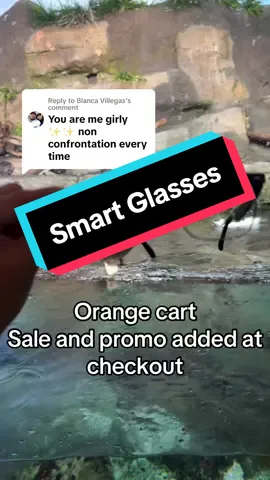 Replying to @Blanca Villegas #smartglasses #multifunctional #multifunctionalsmartglasses #bluetooth #smartdevices #smartaccessories #boujieonabudget #giftsonabudget #budgetfriendlygifts #budgetfriendly #techtok #giftsforher #giftsforhim #giftsforstaff #employeeappreciation #tiktokshopblackfriday #tiktokshopcybermonday #giftideas #gifts2024 #stockingstuffers #boobasket 