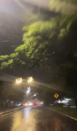 Noche lluviosa sobre la ciudad de Villahermosa ⛈️☔️💦 Manejen con precaucion ⚠️ y a la defensiva  #angulosdetabasco #tabasco #villahermosa #lluvia #tormenta #naturaleza #fyp #foryoupage #llovizna #nubes #arboles #carretera 