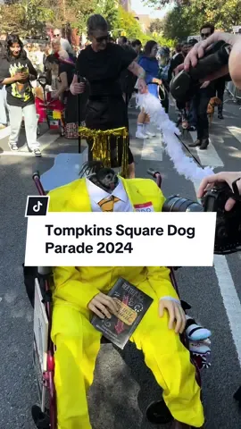 @Don Pepe in the best costume at the Tompkins Square Dog Parade 2024 #tompkinssquare #tompkinssquaredogparade #dog #dogparade #halloween #beetlejuice #bob #donpepe