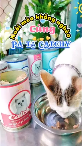 Nuôi mèo không nghèo cùng Pate Catchy lon lớn 400gr q#xuhuong #patechomeo #pate  #thucanchomeo #thucung #thucanchothucung #kimphung_19_09 #trending #muahangtaitiktokshop #xh #viral #pet #meow 