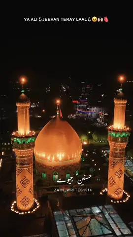 hasnain jeevay | ya ali jeevan teray laal status | #yaalijeevanterelaal #qasida #molaali #molahussain #molaghaziabbas #imamzamana #shia #statusvideo #viralvideos #fyp #foru #forpageyou #goviral #plzunfrezemyaccount #video #viewsproblem 