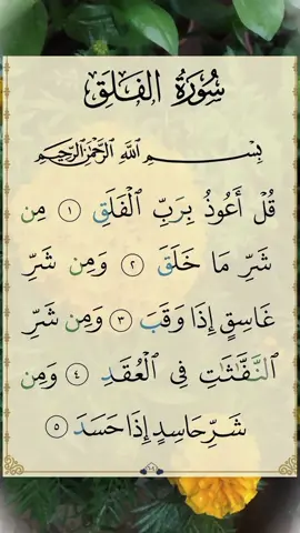 قل أعوذ برب الفلق..من شر ما خلق..ومن شر غاسق إذا وقب..ومن شر النفثات في العقد ..ومن شر حاسد إذا حسد  #quran #quran_alkarim #قران #قران_كريم #تلاوة_خاشعة #أحمد_العجمي #CapCut 