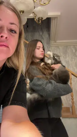 #рекомендации 