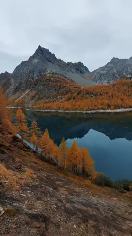 📍Alpe Devero 🇮🇹 #italy #autumn #fallseason #mountain 
