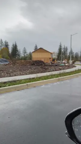 #newconstruction #wa #rain #mold #blackmold #inspection #construction #Home 