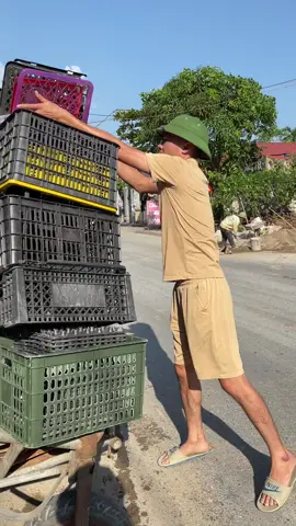 Luôn luôn cố gắng lỗ lực thành công sẽ đến#xuhuong #viral #trending #giaitri #hoangluudan 